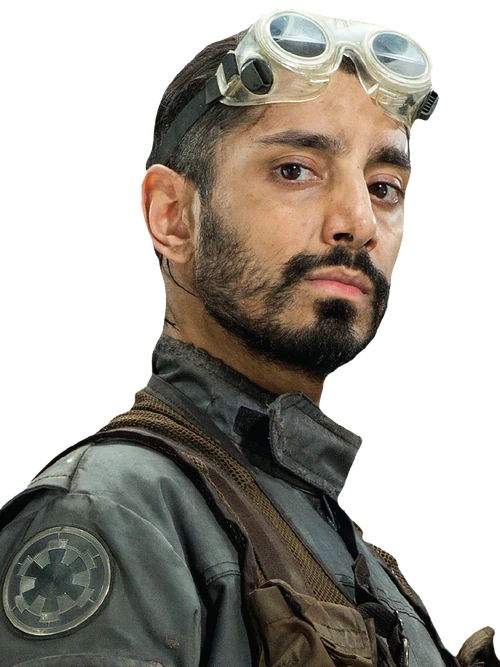 Bodhi Rook Fathead