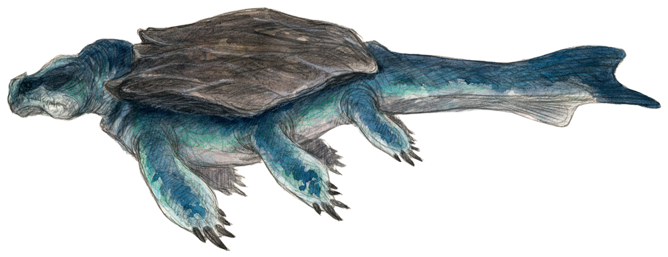 Kamoradon sea dragon appearance 