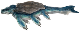 Kamoradon-Bestiary