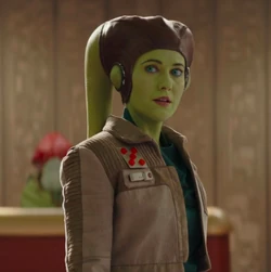 PartSeven-Heraattrial