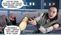 PorgCuddle-PoeDameron27