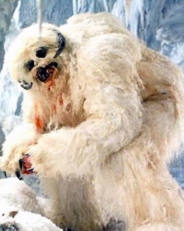 Wampa Wookieepedia Fandom