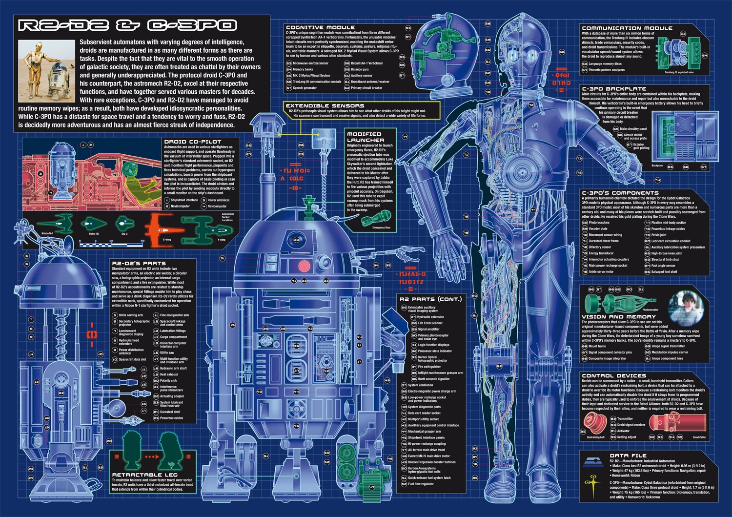 Blueprints of C-3PO (right), and of his counterpart, R2-D2 (left)