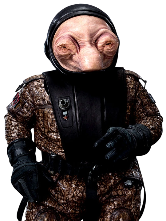 wollivan.eth Ethereum Name Service (ENS and .eth domain) PFP