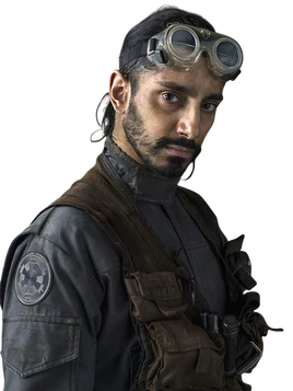 BodhiRook-ROShadowPortraits2