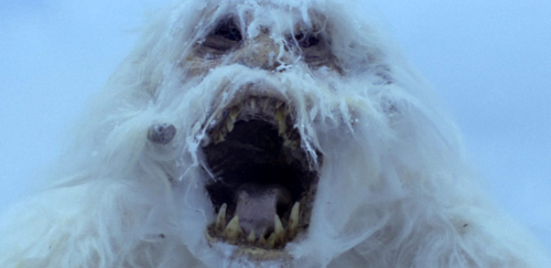 U Wampa