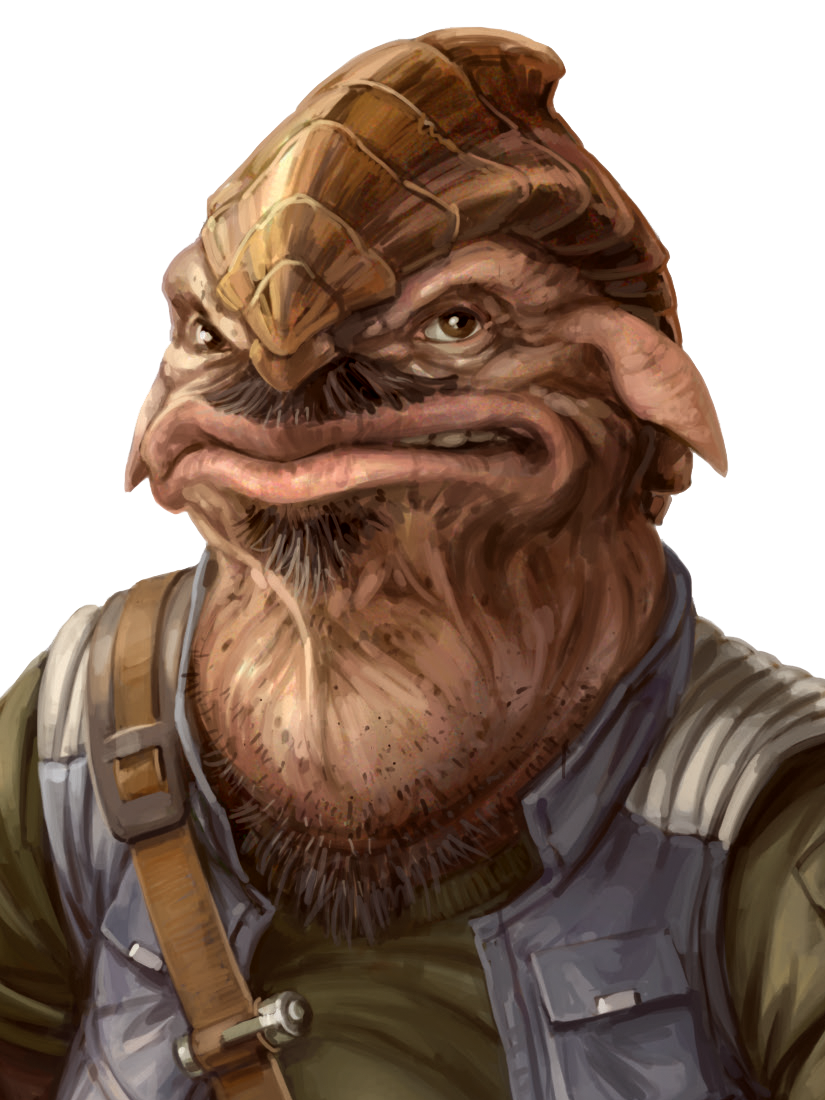 Cho'pa'ailor | Wookieepedia | Fandom