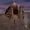 Solitary Hutt