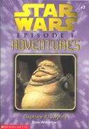 Novel cover