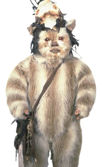 Logray became shaman of Bright Tree Village after the death of Makrit.