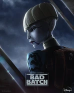 Ventress-CharPoster-TBBS3.jpg (552 KB) Asajj Ventress character poster