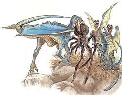 Condordragons-woswfg