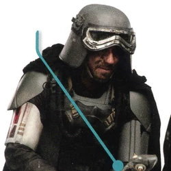 カテゴリ 医者とヒーラー Wookieepedia Fandom
