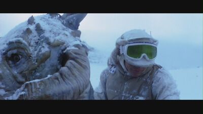 Luke su tauntaun