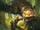 Beast Control FDCR.png