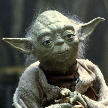Yoda Wookieepedia Fandom