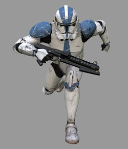 501st