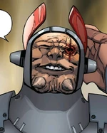 눈 잃은 후의 아홉째 자매