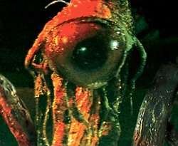 Dianoga 1