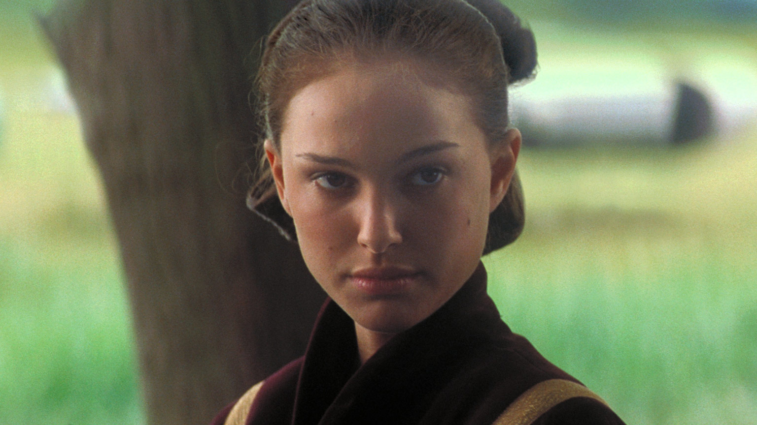 Star Wars Inside Intel: Padmé's Real Last Name appearance in Common Appearance