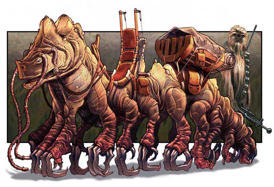 Sureggi | Wookieepedia | Fandom