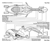 Swoop anatomy