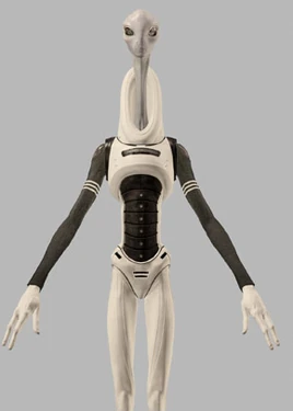 Kaminoan