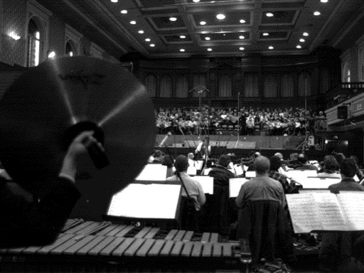 A view from behind the orchestra.