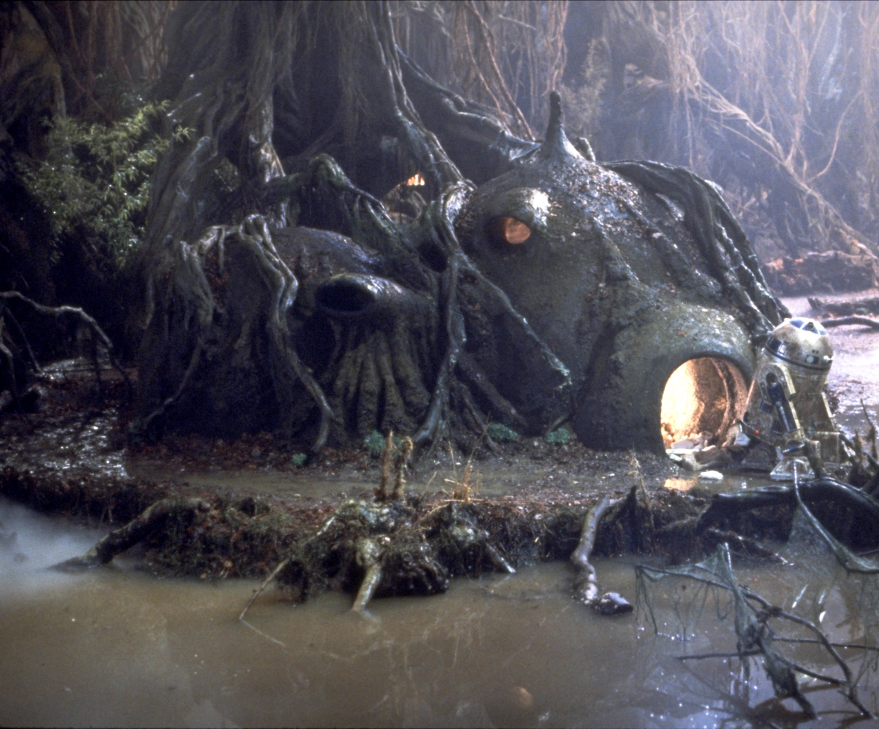 Yoda's Hut | Wookieepedia | Fandom