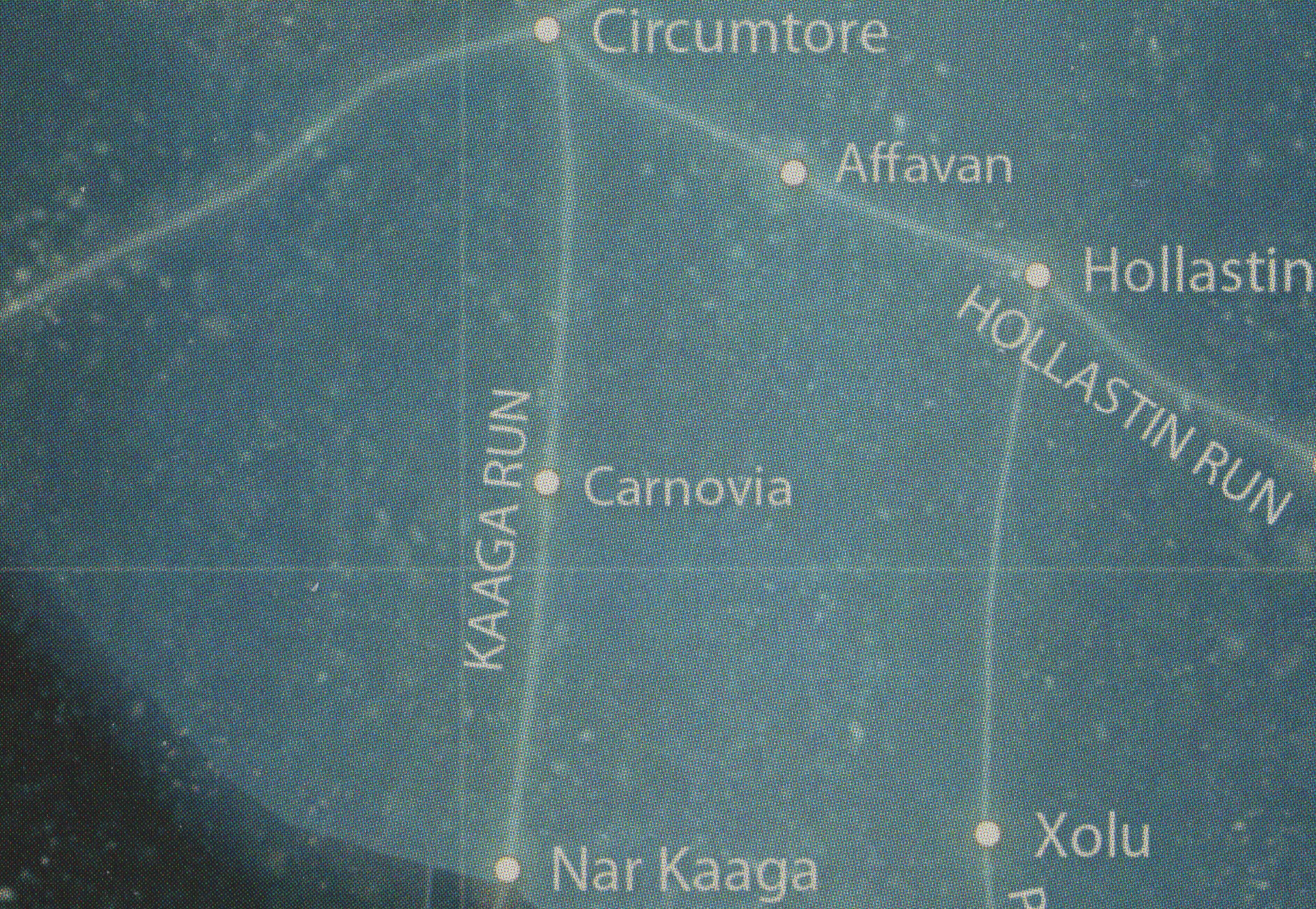 Carnovia appearance 