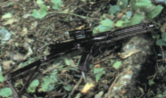 E-11b blaster rifle appearance in Common Appearance