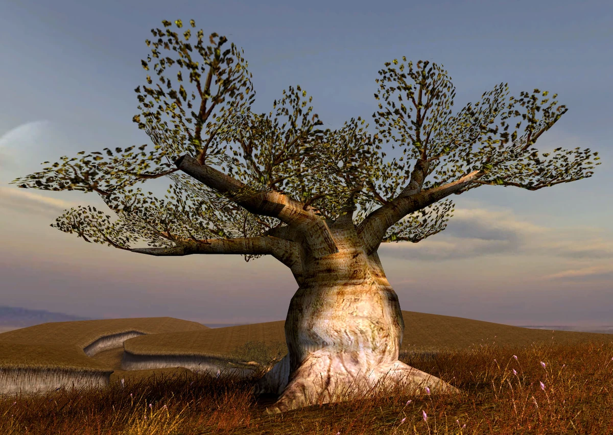 Blba tree | Wookieepedia | Fandom