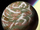 Concordia/Legends
