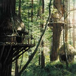 Category Cities on Endor Wookieepedia Fandom