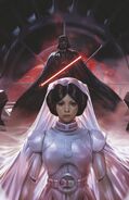 Virgin variant cover by Derrick Chew