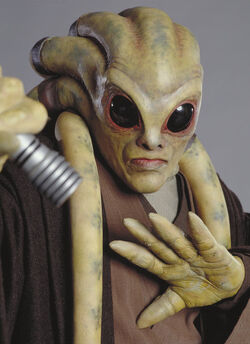 Kit Fisto close