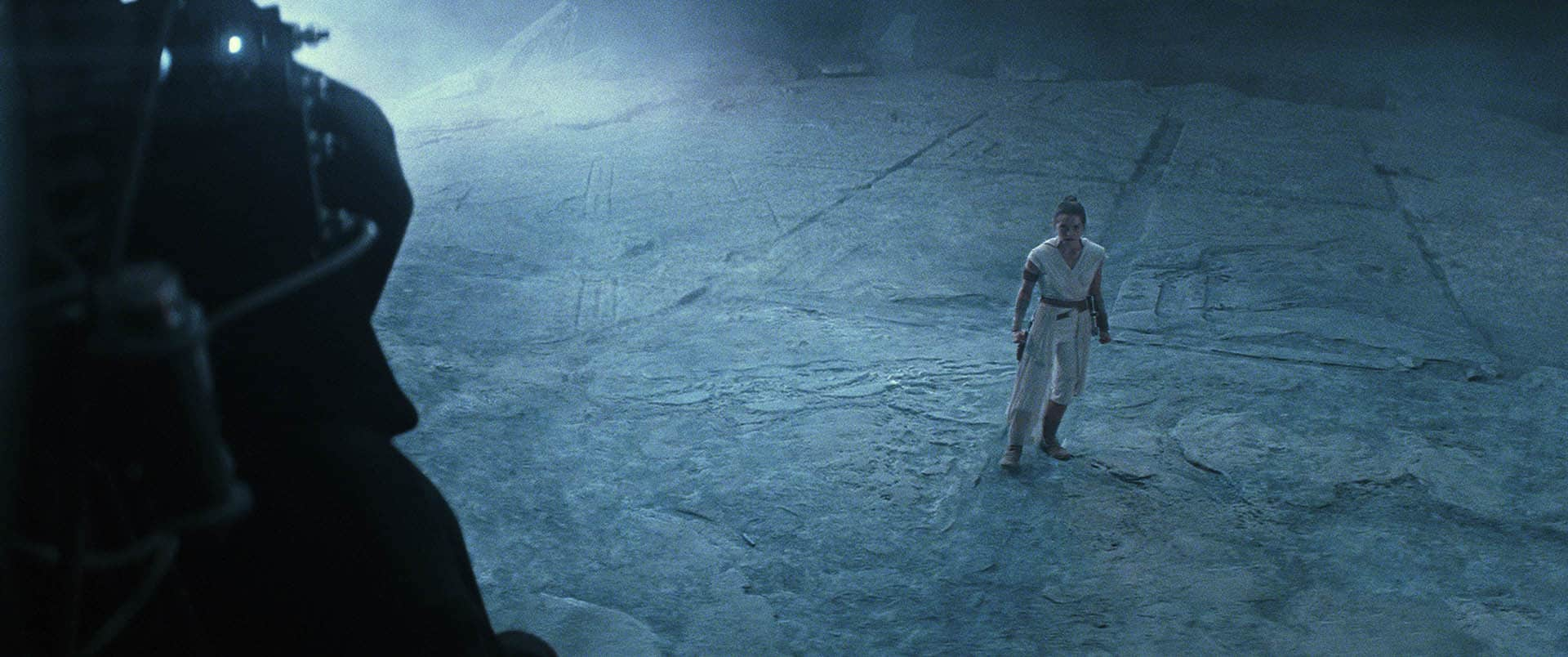 Rey confronted her grandfather, Darth Sidious, during the battle of Exegol.