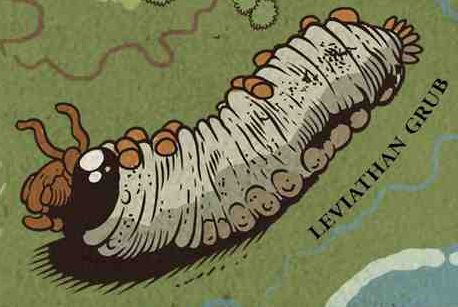 Leviathan grub appearance 