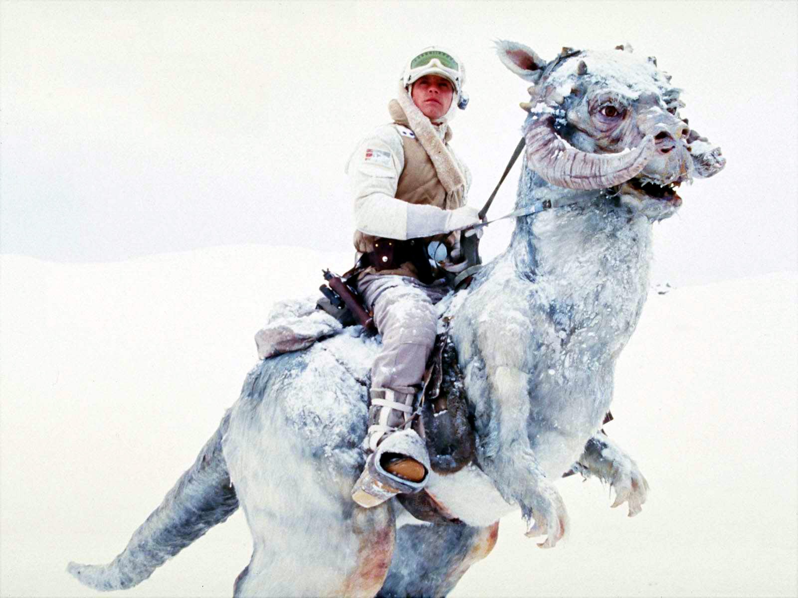 Luke skywalker battle of hoth sale