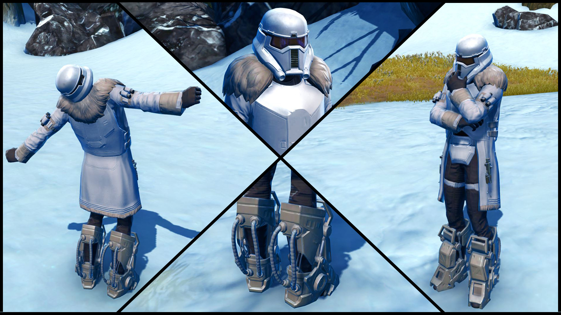 Arctic Trooper Armor appearance in Common Appearance