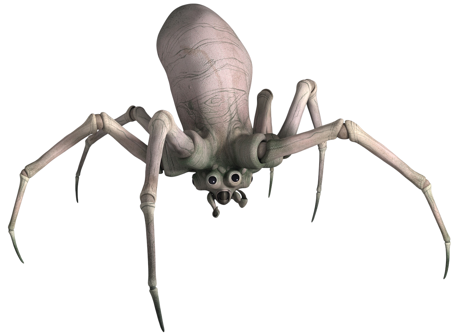 Krykna appearance 