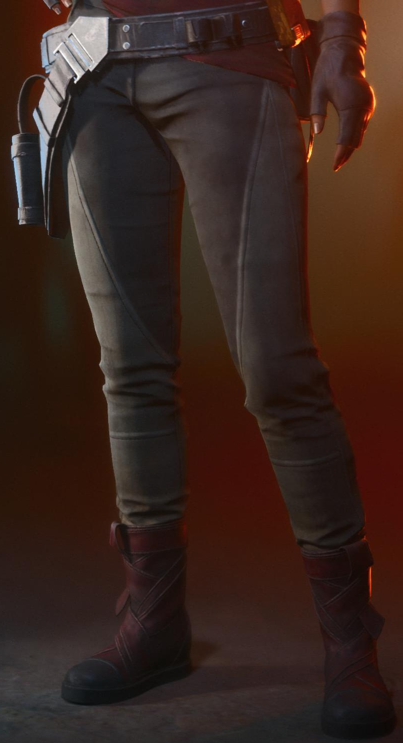 Moldour thief pants appearance 