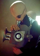 Nalan Cheel - Bandfill