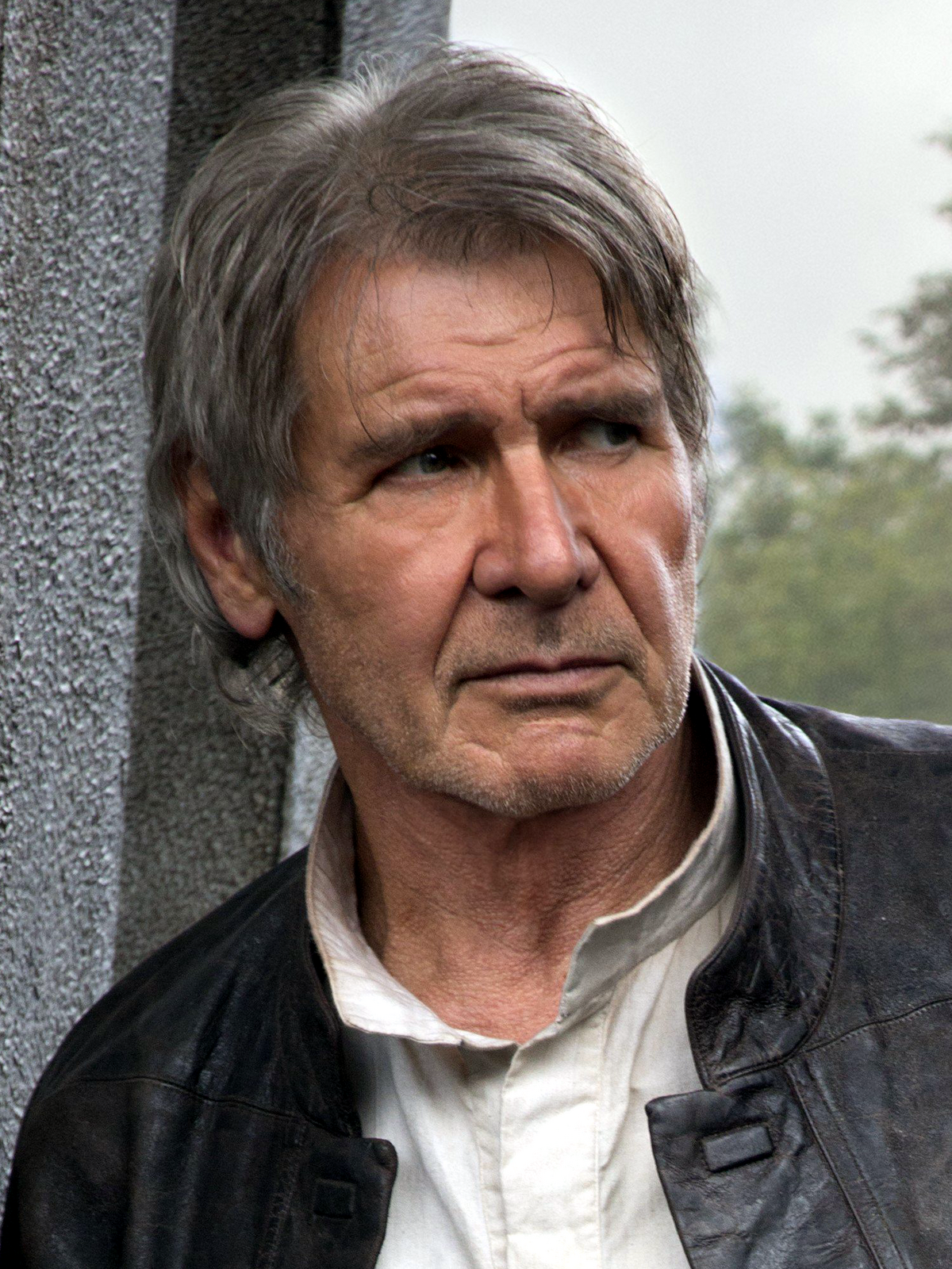 Han Solo, Wookieepedia