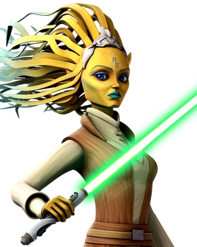 Tiplar_HS_SWCT