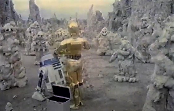 The droids encounter several members of the species.