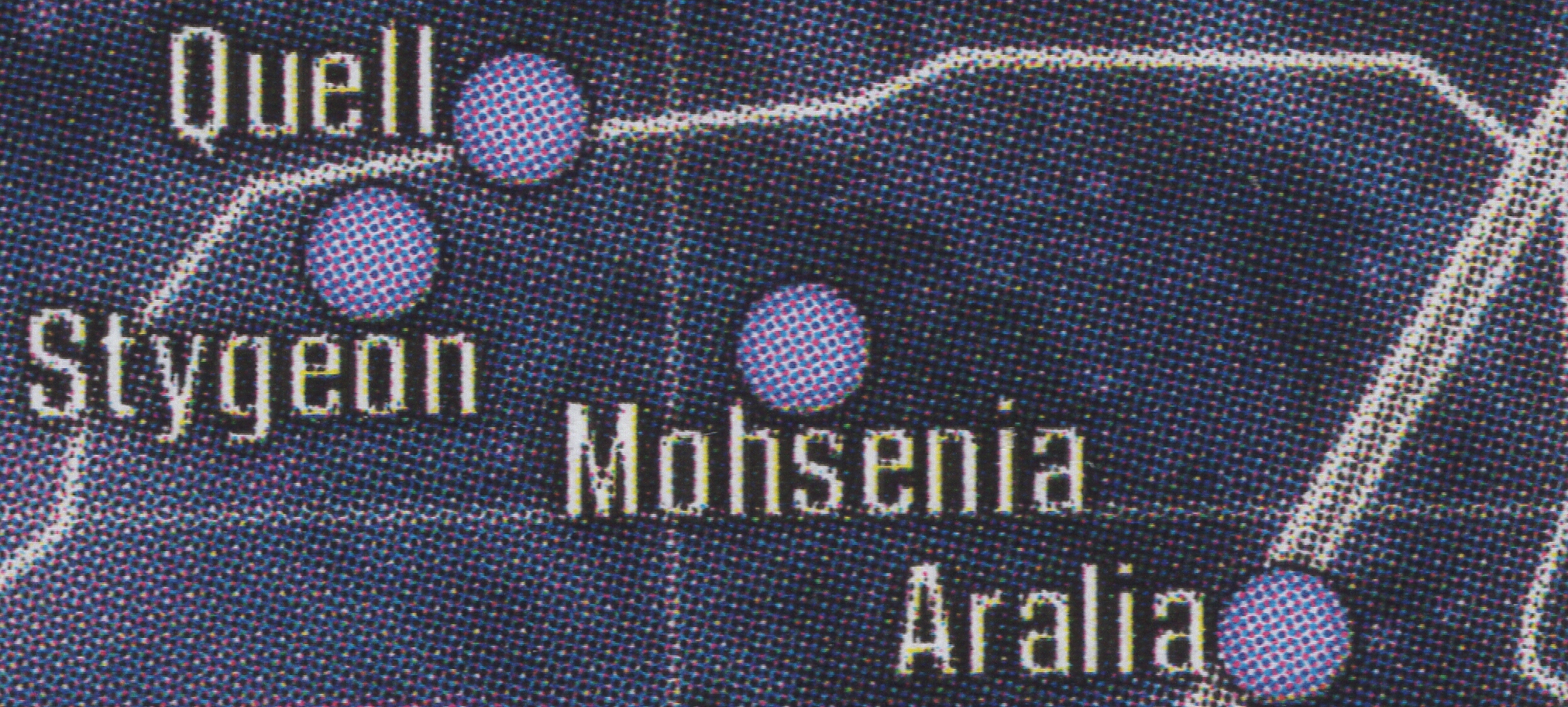 Mohsenia appearance 