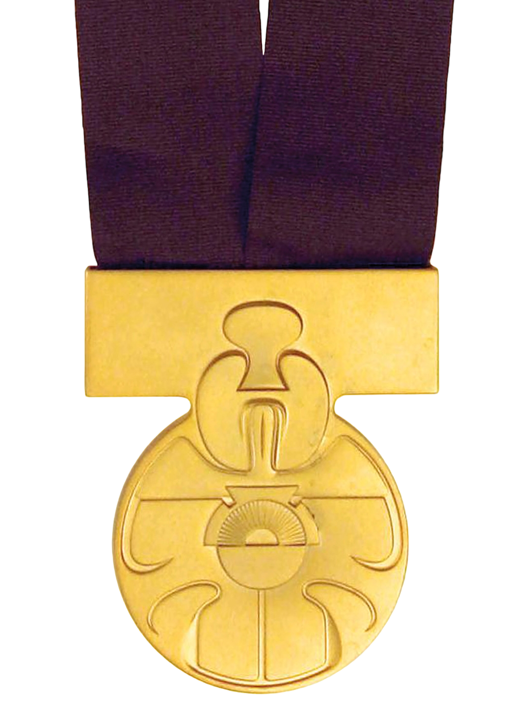 Medal of Bravery, Wookieepedia
