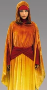 Padmehandmaiden.jpg (67 KB) Flame-colored robes