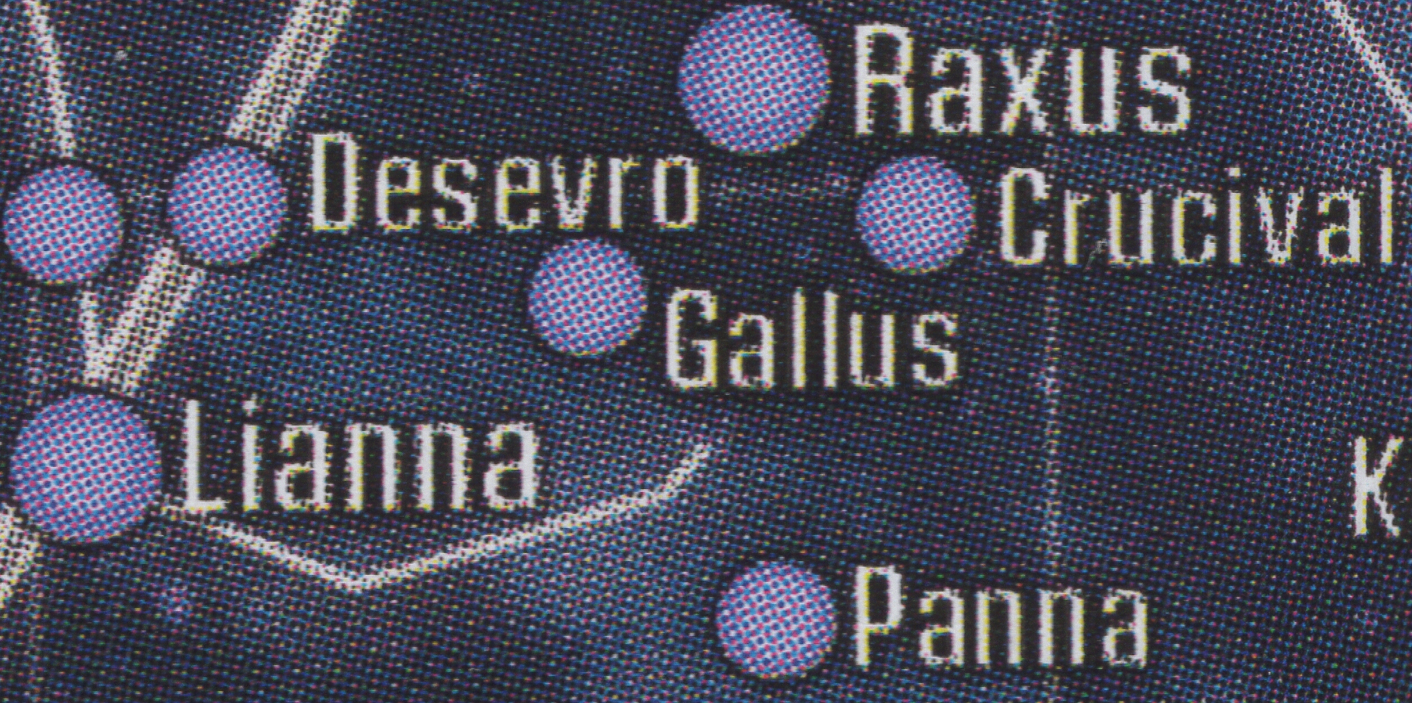 Gallus appearance 